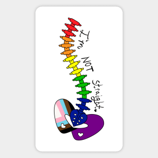 Not Straight - Rainbow Magnet